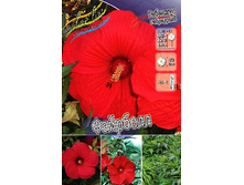 219,5���. �������� ��������� ��������(�������� ���� �� 1 ��., ����������� ����� 1��.).jpg