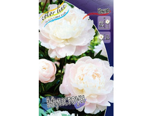 270,8���. ���� ��������(�������� ���� �� 1 ��., ����������� ����� 1��.).jpg