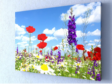 ���������� ���� 1-1.jpg