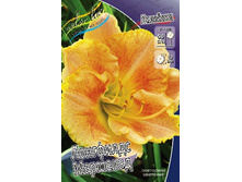 70,25���. �������� ��������� ��������(�������� ���� �� 2 ��., ����������� ����� 1��.).jpg