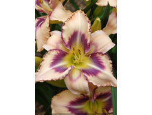 156,3���. �������� �������� �� ��(�������� ���� �� 1 ��., ����������� ����� 1��.).jpg