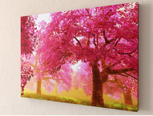 ������� ��� 1-1.jpg