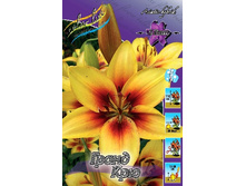 31,52���. ����� ����� ���(��� 5 ��. ���������� �� 2��.).jpg