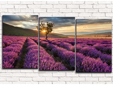 ��������� ���� 3-1.jpg