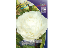 187,9���. ���� ���� �� ����(�������� ���� �� 1 ��., ����������� ����� 1��.).jpg