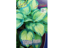 156,3���. ����� ����� ����(�������� ���� �� 1 ��., ����������� ����� 1��.).jpg