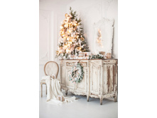 ��� ����