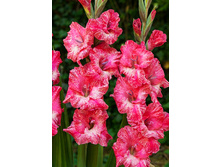 8,86���. ��������� ���� ����(���������� ������ ������ ���������� �� 7 ��.)���17.jpg