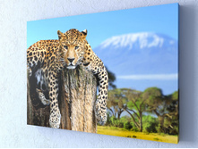 ������ 1-1.jpg