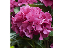 141���. ��������� �������������� ����.jpg