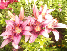 DSCN1536.JPG