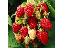 179���. ������ ����������.jpg