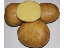 ������ (�����) 50���. �� 1��.jpg