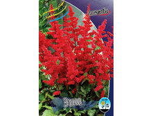 62,35���. �������� ����(�������� ���� �� 2 ��., ����������� ����� 1��.).jpg