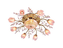 241010111 6600�.jpg