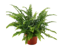 ���������� ���� ���� 12�30. 234,15 ���.jpg