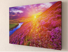 �������� ������ 1-1.jpg