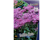 165,8���. ��������� ����� ���(�������� ���� �� 1 ��., ����������� ����� 1��.).jpg