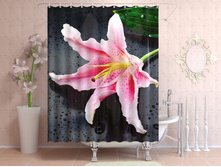 ������� ������.jpg