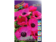 5,21���. ������� �������(���������� ������ ������ ���������� �� 10 ��.).jpg