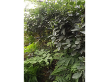 DSCF8075.JPG