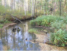 DSCN3200.JPG