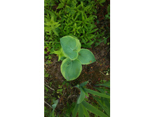 20160605 135226.jpg