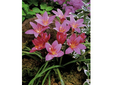 7,73���. ���������� ��������(���������� ������ ������ ���������� �� 10 ��.).jpg