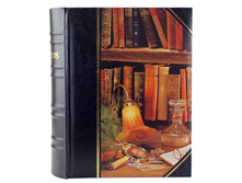 585���. ��� ��-00000493 V ���������� 200 �emo �������� �������� ���� ������ Climax.jpg