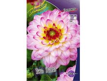 79,3���. �������� ��� ����(�������� ���� �� 1 ��., ����������� ����� 1��.).jpg