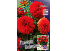 87,8���. �������� ������� ��������(�������� ���� �� 1 ��., ����������� ����� 1��.).jpg