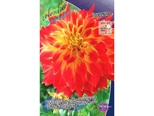 83,5���. �������� ������ ������(�������� ���� �� 1 ��., ����������� ����� 1��.).jpg