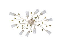 242015510 5000�.jpg