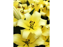 34,9���. ����� ������(��� 5 ��. ���������� �� 2��.)���17.jpg