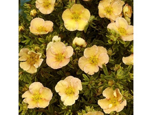 122���. �������� ������������� �������.jpg