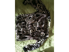 ������ 48-50 50 �.