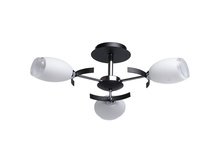 324013803 1400�.jpg