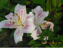 DSCN2140.JPG