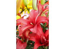 23,92���. ����� �������� ����(��� 5 ��. ���������� �� 2��.).jpg