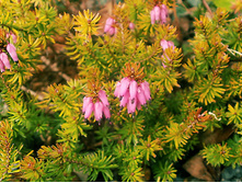 ����� �������� ��� �������-161�.jpg