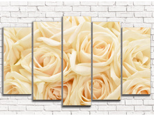 ������� ���� 5-1.jpg