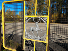 P 20161002 111942.jpg