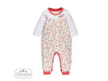 632-149    431 ���.