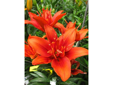 45,02���. ����� ����� ����(��� 5 ��. ���������� �� 2��.).jpg