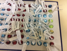 ������ � ������� 18.10