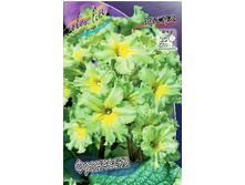 124,7���. ������� ���������(�������� ���� �� 1 ��., ����������� ����� 1��.).jpg