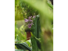 DSCF8157.JPG