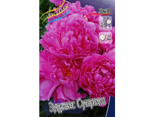 203,7���. ���� ������ ������(�������� ���� �� 1 ��., ����������� ����� 1��.).jpg