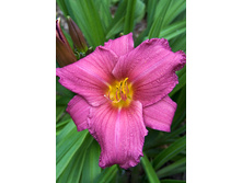 86,05���. �������� ����� �����(�������� ���� �� 2 ��., ����������� ����� 1��.)���17.jpg