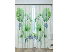 300050 �����.jpg